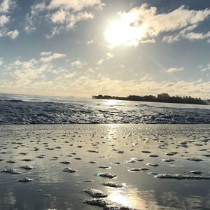 Meet your Posher, Noël